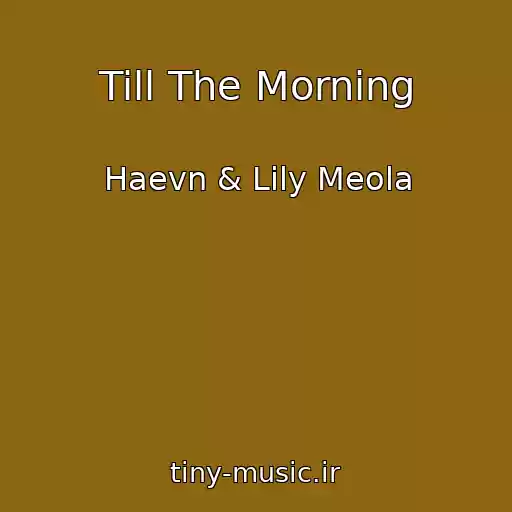 کاور آهنگ Till The Morning از Haevn & Lily Meola