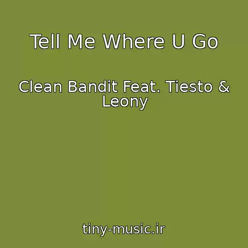 کاور آهنگ Tell Me Where U Go از Clean Bandit Feat. Tiesto & Leony