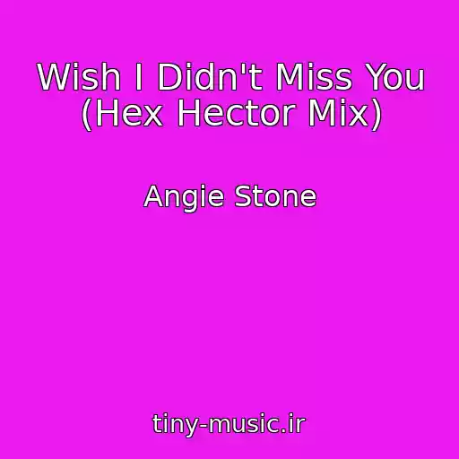 کاور آهنگ Wish I Didn't Miss You (Hex Hector Mix) از Angie Stone