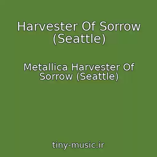 کاور آهنگ Harvester Of Sorrow (Seattle) از Metallica Harvester Of Sorrow (Seattle)
