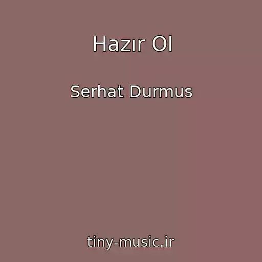 کاور آهنگ Hazır Ol از Serhat Durmus