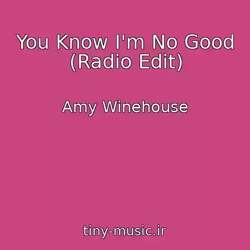کاور آهنگ You Know I'm No Good (Radio Edit) از Amy Winehouse