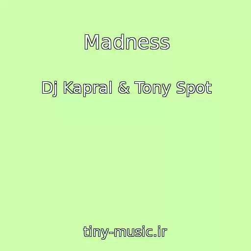 کاور آهنگ Madness از Dj Kapral & Tony Spot