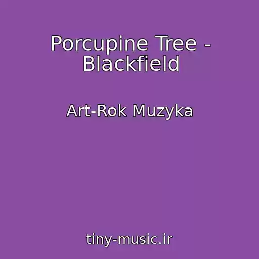 کاور آهنگ Porcupine Tree - Blackfield از Art-Rok Muzyka