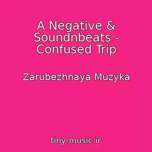 کاور آهنگ A Negative & Soundnbeats - Confused Trip از Zarubezhnaya Muzyka