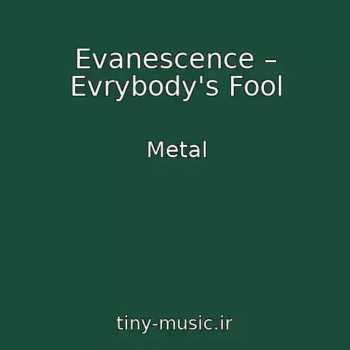 کاور آهنگ Evanescence – Evrybody's Fool از Metal