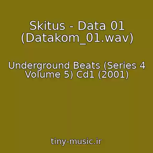 کاور آهنگ Skitus - Data 01 (Datakom_01.wav) از Underground Beats (Series 4 Volume 5) Cd1 (2001)
