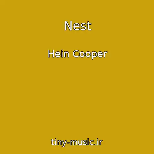 کاور آهنگ Nest از Hein Cooper