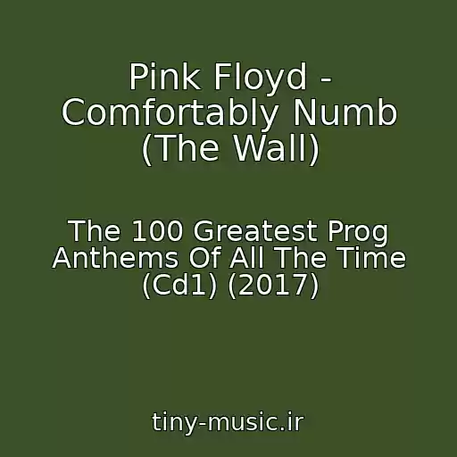 کاور آهنگ Pink Floyd - Comfortably Numb (The Wall) از The 100 Greatest Prog Anthems Of All The Time (Cd1) (2017)