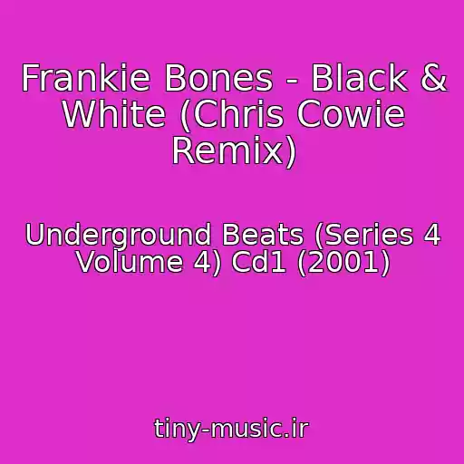 کاور آهنگ Frankie Bones - Black & White (Chris Cowie Remix) از Underground Beats (Series 4 Volume 4) Cd1 (2001)
