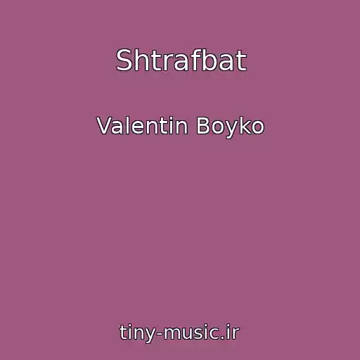 کاور آهنگ Shtrafbat از Valentin Boyko