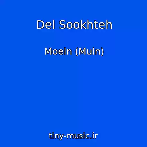 کاور آهنگ Del Sookhteh از Moein (Muin)