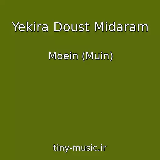 کاور آهنگ Yekira Doust Midaram از Moein (Muin)