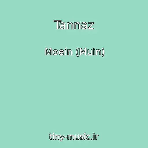کاور آهنگ Tannaz از Moein (Muin)