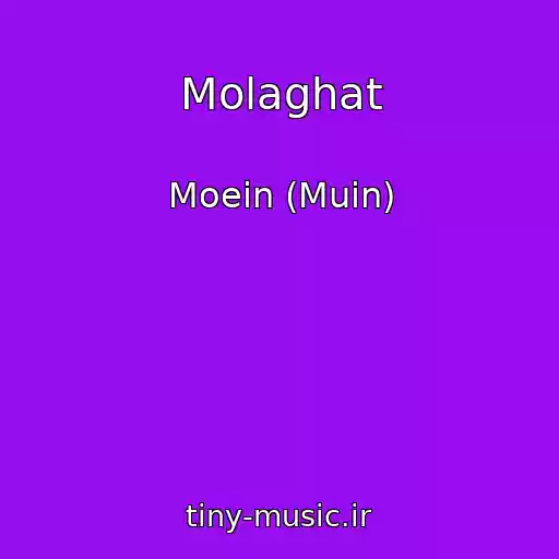 کاور آهنگ Molaghat از Moein (Muin)