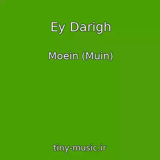 کاور آهنگ Ey Darigh از Moein (Muin)