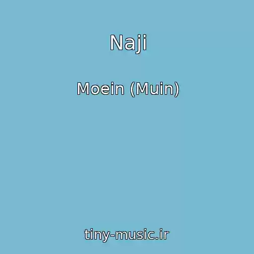 کاور آهنگ Naji از Moein (Muin)