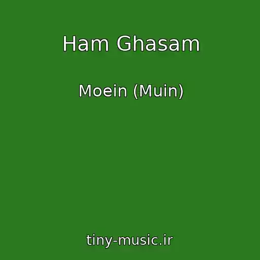 کاور آهنگ Ham Ghasam از Moein (Muin)