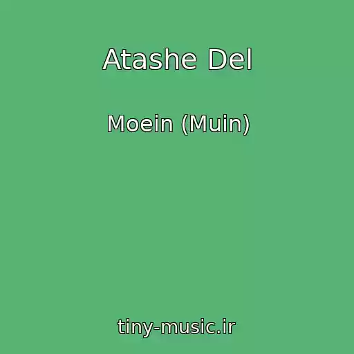 کاور آهنگ Atashe Del از Moein (Muin)