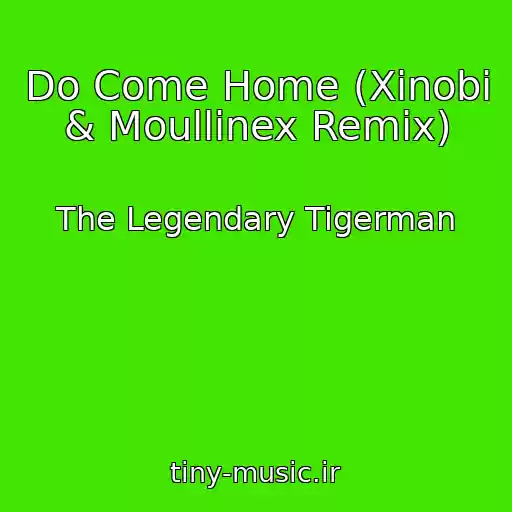 کاور آهنگ Do Come Home (Xinobi & Moullinex Remix) از The Legendary Tigerman