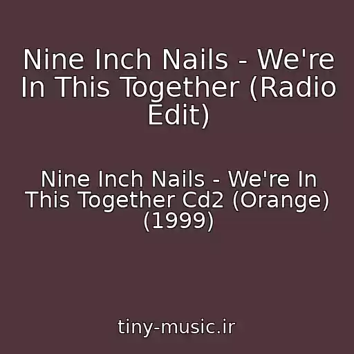 کاور آهنگ Nine Inch Nails - We're In This Together (Radio Edit) از Nine Inch Nails - We're In This Together Cd2 (Orange) (1999)