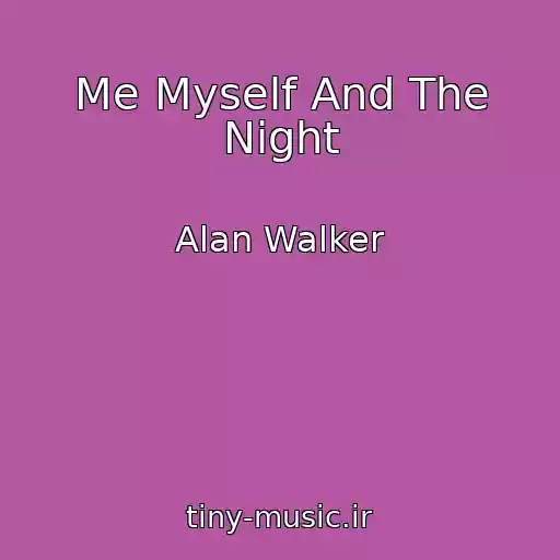 کاور آهنگ Me Myself And The Night از Alan Walker