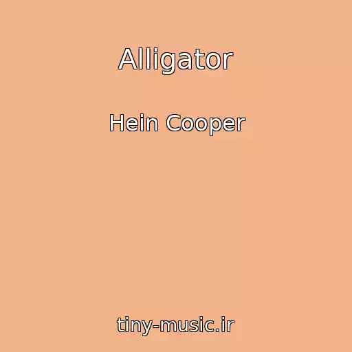 کاور آهنگ Alligator از Hein Cooper