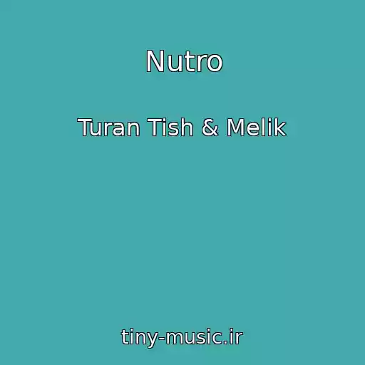 کاور آهنگ Nutro از Turan Tish & Melik