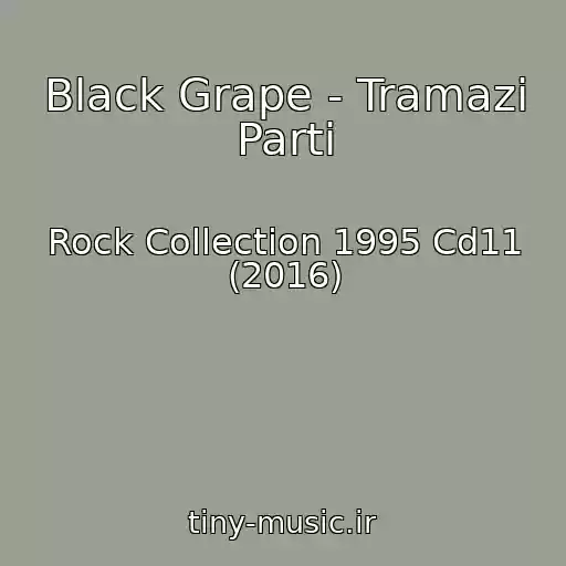 کاور آهنگ Black Grape - Tramazi Parti از Rock Collection 1995 Cd11 (2016)