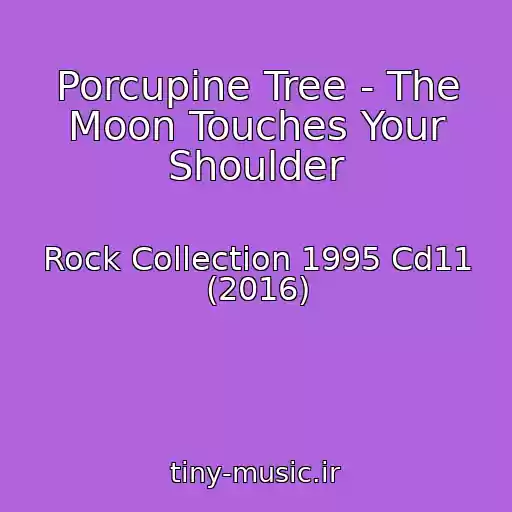 کاور آهنگ Porcupine Tree - The Moon Touches Your Shoulder از Rock Collection 1995 Cd11 (2016)