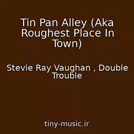 کاور آهنگ Tin Pan Alley (Aka Roughest Place In Town) از Stevie Ray Vaughan , Double Trouble