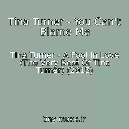 کاور آهنگ Tina Turner - You Can't Blame Me از Tina Turner - A Fool In Love (The Very Best Of Tina Turner) (2015)