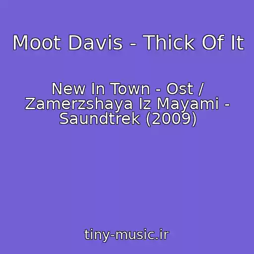 کاور آهنگ Moot Davis - Thick Of It از New In Town - Ost / Zamerzshaya Iz Mayami - Saundtrek (2009)