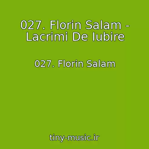 کاور آهنگ 027. Florin Salam - Lacrimi De Iubire از 027. Florin Salam