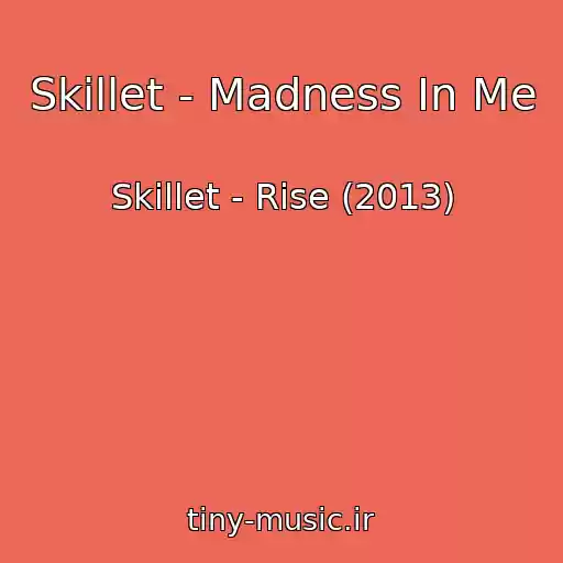 کاور آهنگ Skillet - Madness In Me از Skillet - Rise (2013)