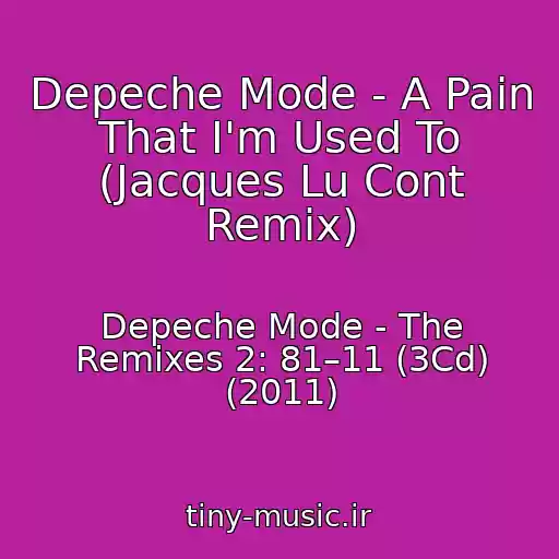 کاور آهنگ Depeche Mode - A Pain That I'm Used To (Jacques Lu Cont Remix) از Depeche Mode - The Remixes 2: 81–11 (3Cd) (2011)
