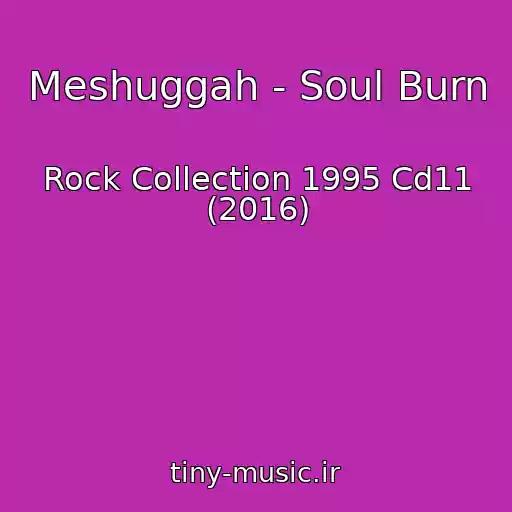 کاور آهنگ Meshuggah - Soul Burn از Rock Collection 1995 Cd11 (2016)