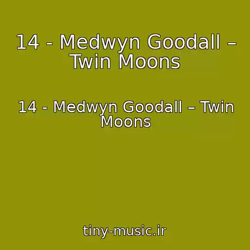 کاور آهنگ 14 - Medwyn Goodall – Twin Moons از 14 - Medwyn Goodall – Twin Moons
