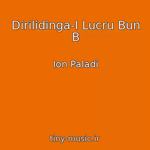 کاور آهنگ Dirilidinga-I Lucru Bun B از Ion Paladi