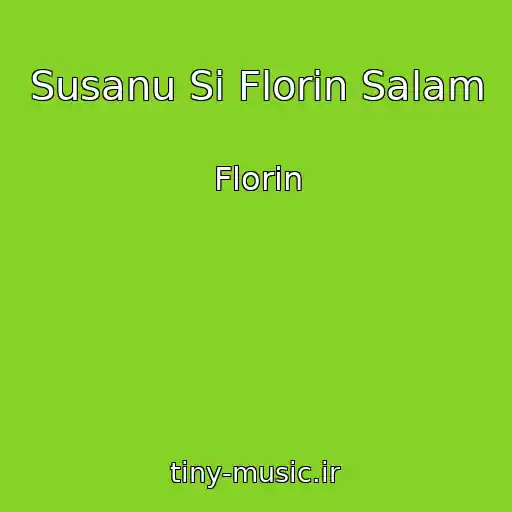 کاور آهنگ Susanu Si Florin Salam از Florin