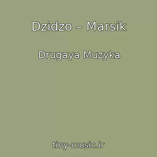 کاور آهنگ Dzidzo – Marsik از Drugaya Muzyka
