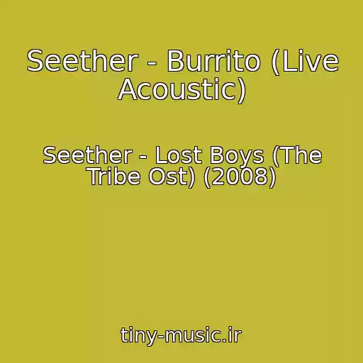 کاور آهنگ Seether - Burrito (Live Acoustic) از Seether - Lost Boys (The Tribe Ost) (2008)
