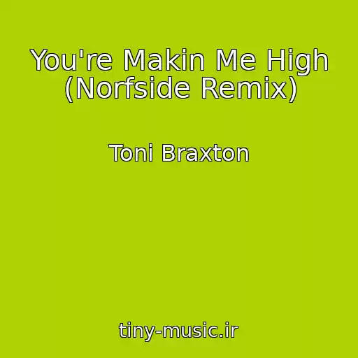 کاور آهنگ You're Makin Me High (Norfside Remix) از Toni Braxton