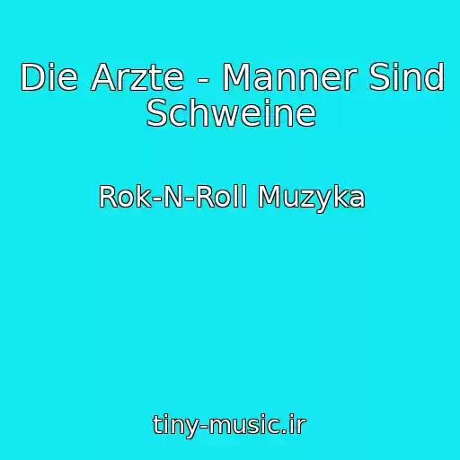 کاور آهنگ Die Arzte - Manner Sind Schweine از Rok-N-Roll Muzyka