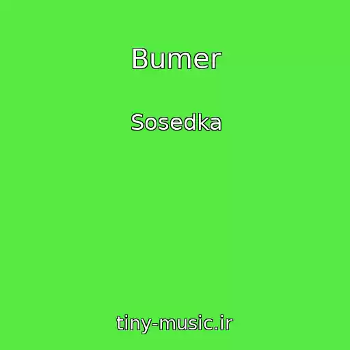 کاور آهنگ Bumer از Sosedka