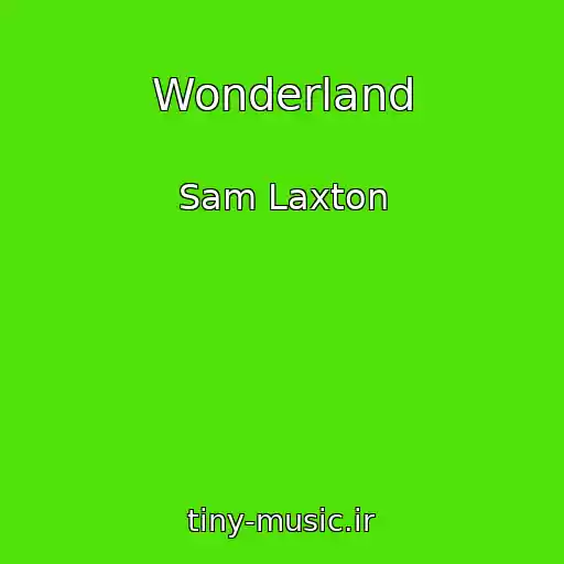 کاور آهنگ Wonderland از Sam Laxton