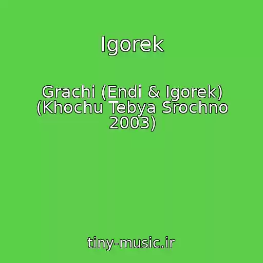 کاور آهنگ Igorek از Grachi (Endi & Igorek) (Khochu Tebya Srochno 2003)