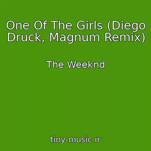 کاور آهنگ One Of The Girls (Diego Druck, Magnum Remix) از The Weeknd