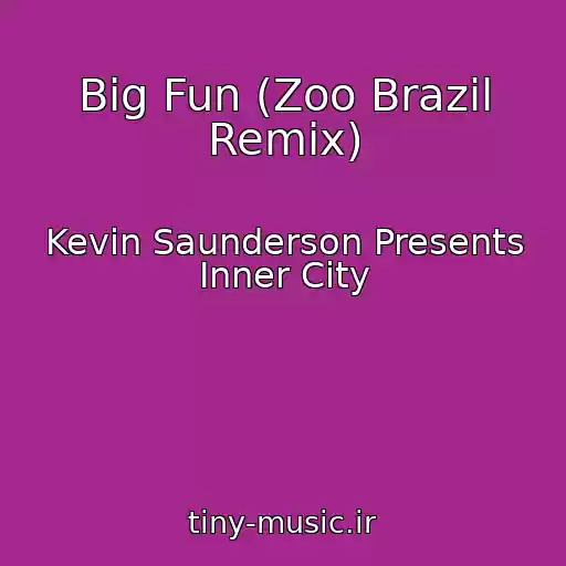 کاور آهنگ Big Fun (Zoo Brazil Remix) از Kevin Saunderson Presents Inner City