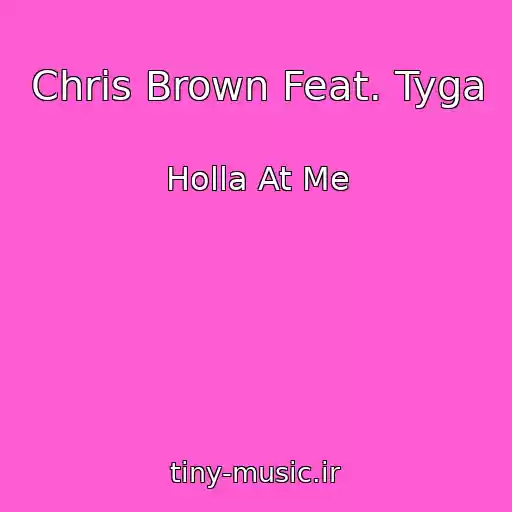 کاور آهنگ Chris Brown Feat. Tyga از Holla At Me